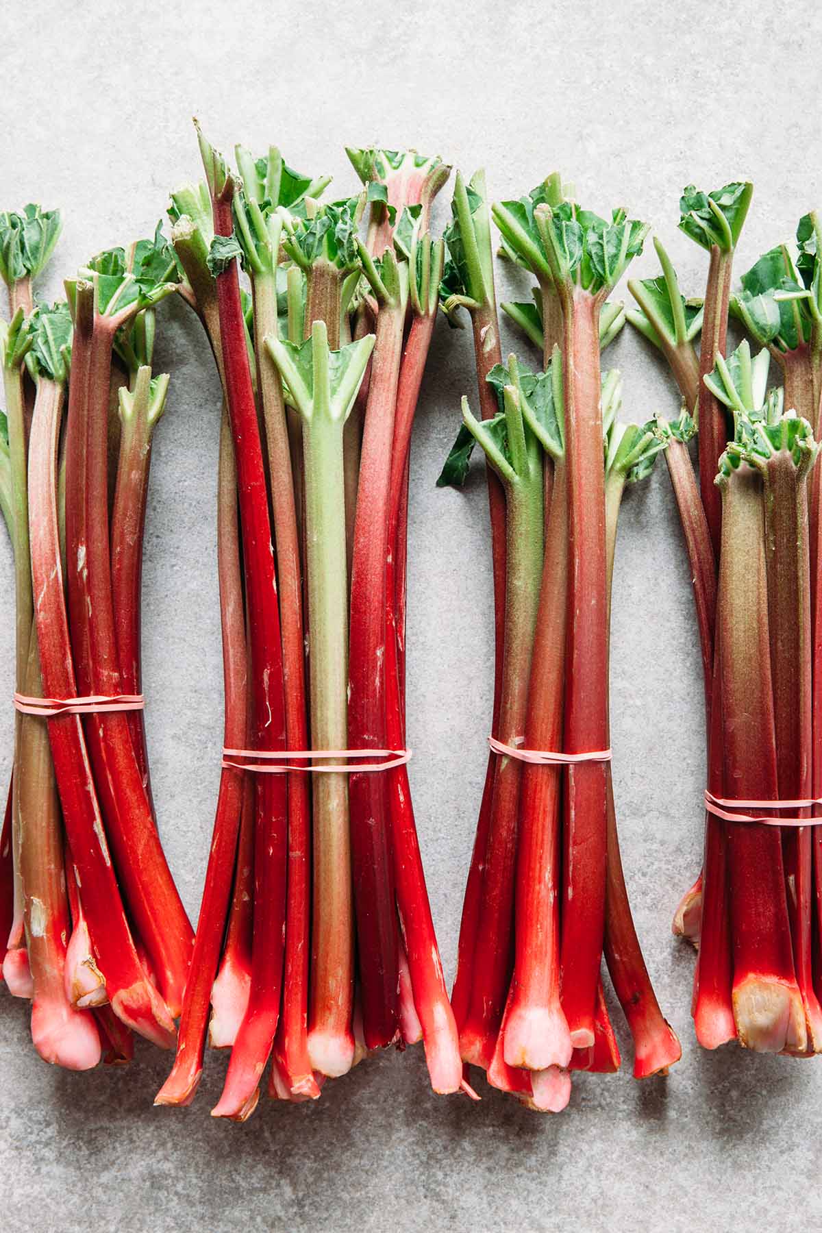 Bunches of fresh rhubarb bound with pink elastic bands.