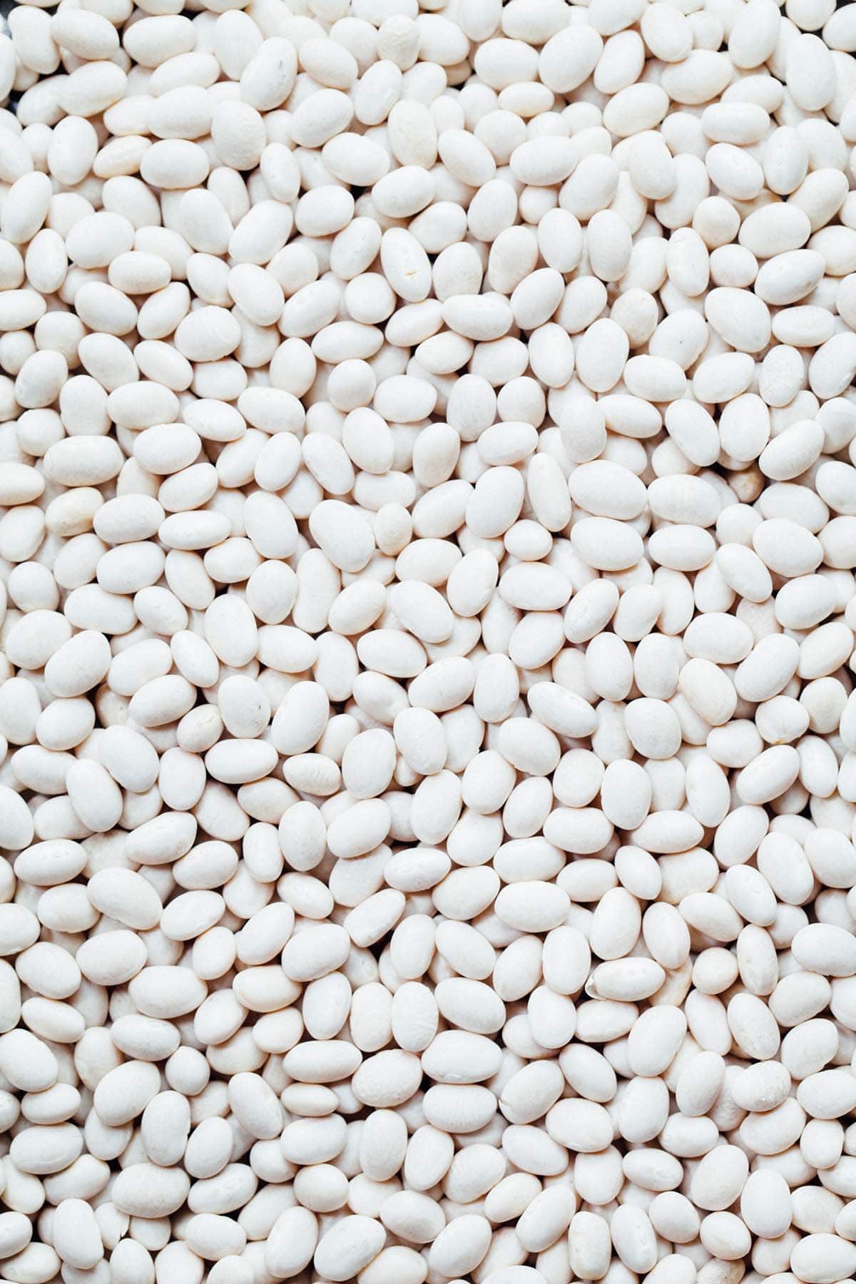 Dry white beans.